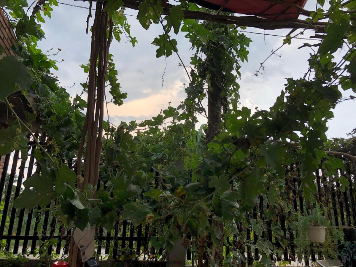 Bau Bi Mini Farmstay Mekong - Tien Giang ミトー エクステリア 写真