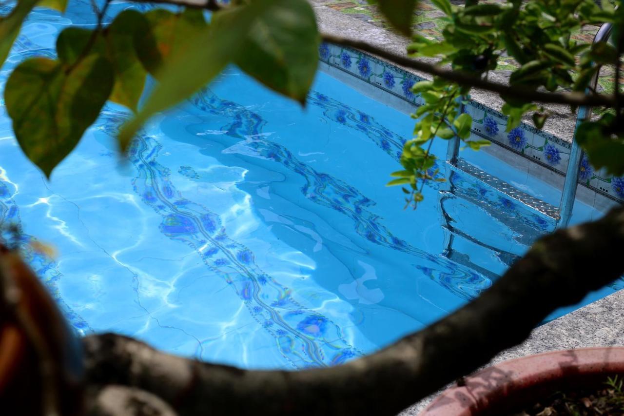 Bau Bi Mini Farmstay Mekong - Tien Giang ミトー エクステリア 写真