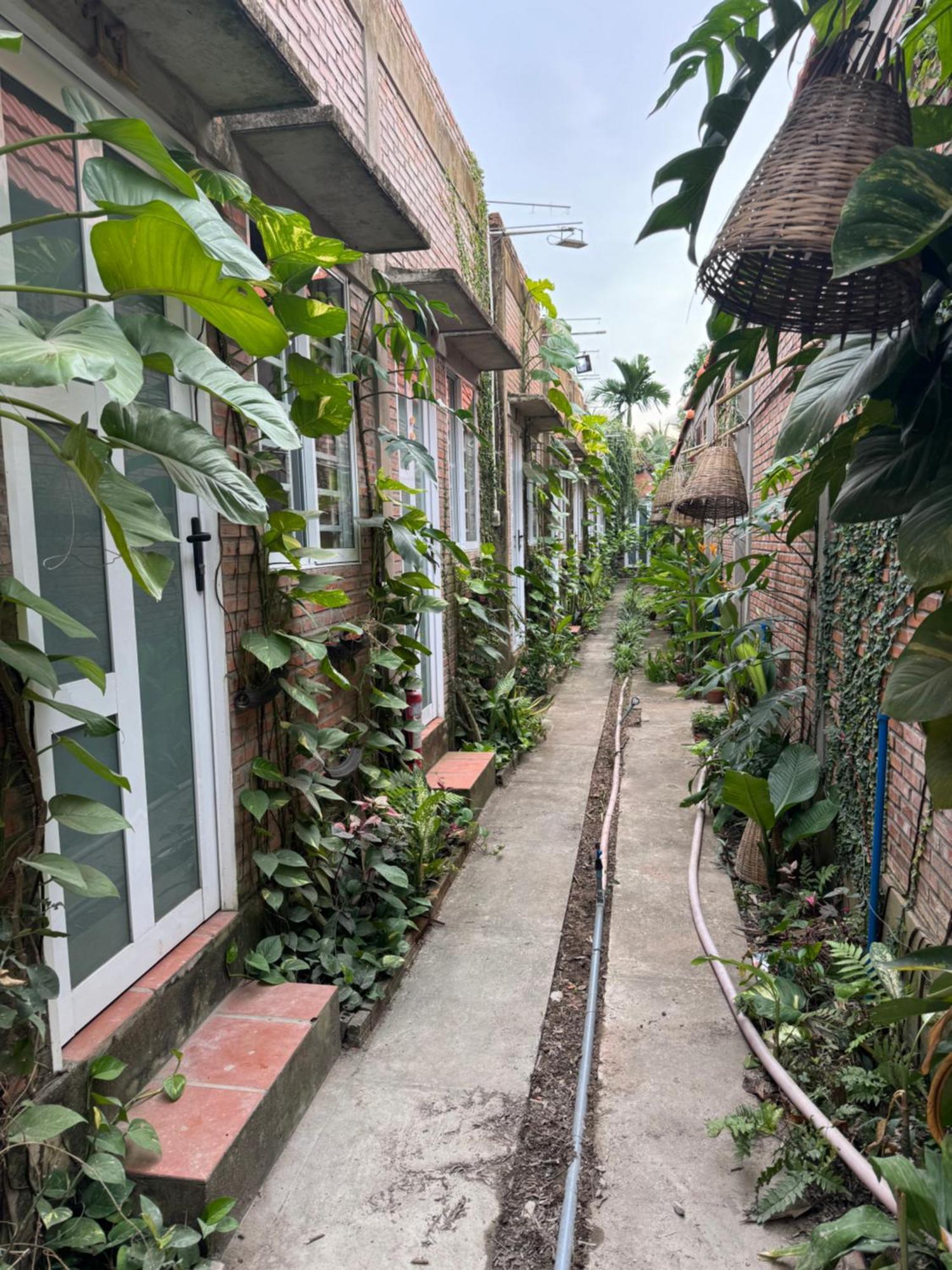 Bau Bi Mini Farmstay Mekong - Tien Giang ミトー エクステリア 写真
